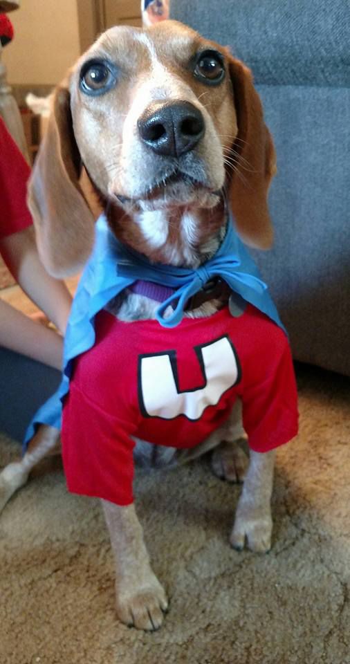 Mabel